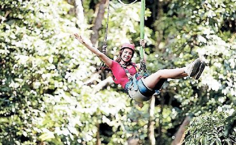 Jungle surfing at the Daintree Coast. Jungle surfing at the Daintree Coast.