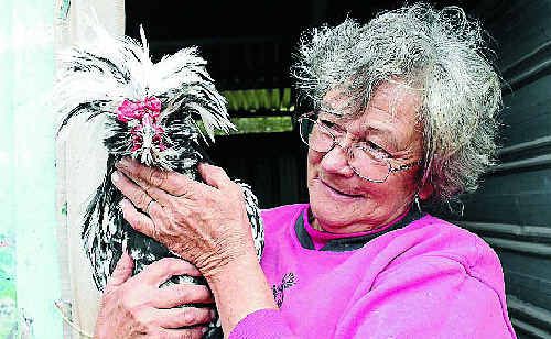 Kris Cole with one of her rare houdan roosters. Kris Cole with one of her rare houdan roosters.