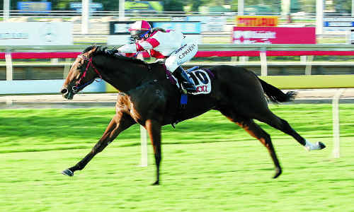 Jockey Cassie Priest kicks home Bonny The Viper to victory in the Capricornia Sales Classic at Callaghan Park yesterday. Jockey Cassie Priest kicks home Bonny The Viper to victory in the Capricornia Sales Classic at Callaghan Park yesterday.