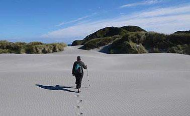 The wild and deserted Wharariki Beach is the northernmoston the West Coast. The wild and deserted Wharariki Beach is the northernmoston the West Coast.