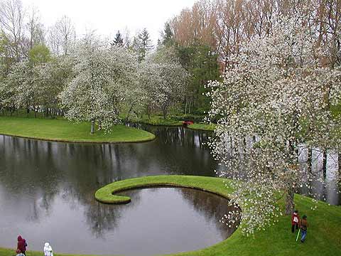 The Garden of Cosmic Speculation. The Garden of Cosmic Speculation.