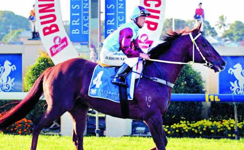 Albert The Fat after winning the BTC Cup at Doomben last year. Albert The Fat after winning the BTC Cup at Doomben last year.