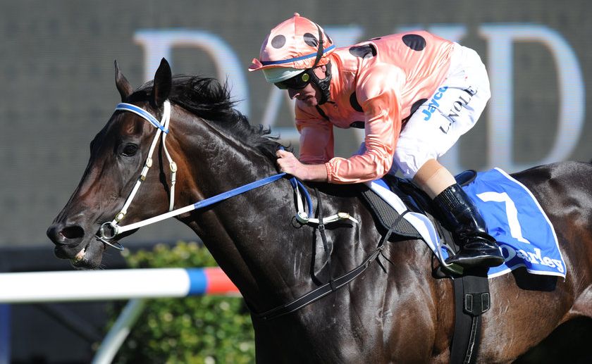 Black Caviar Black Caviar