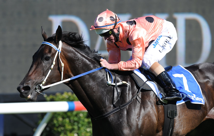 Black Caviar Black Caviar