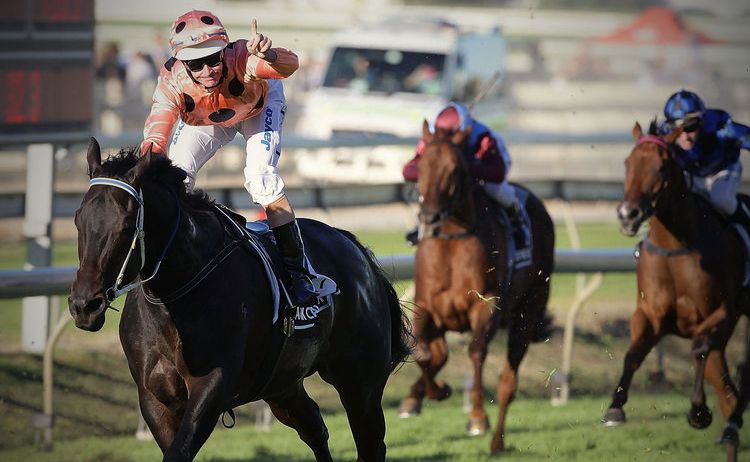 Black Caviar installed as favourite for Royal Ascot race in June. Black Caviar installed as favourite for Royal Ascot race in June.