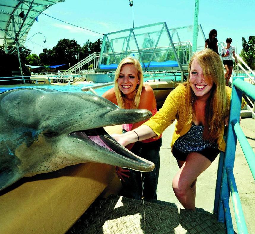 A tourism survey has revealed the Pet Porpoise Pool remains a much-loved favourite among visitors.