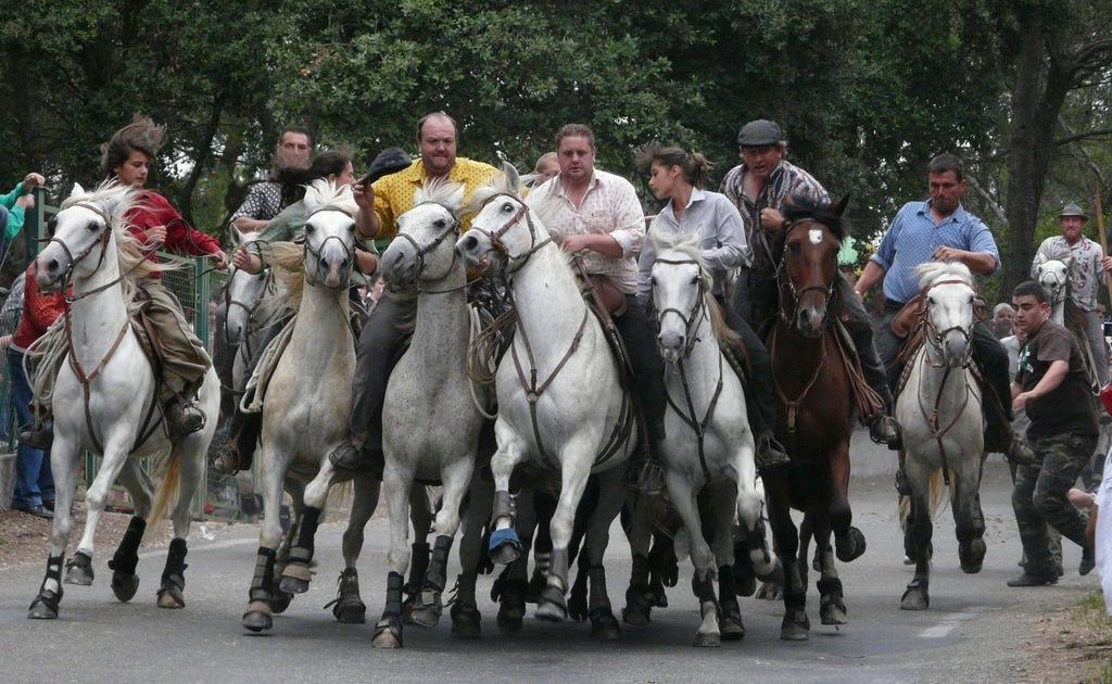 For four decades the bulls had not run through the tiny streets of St. Maximin and this Saturday that was about to change. For four decades the bulls had not run through the tiny streets of St. Maximin and this Saturday that was about to change.