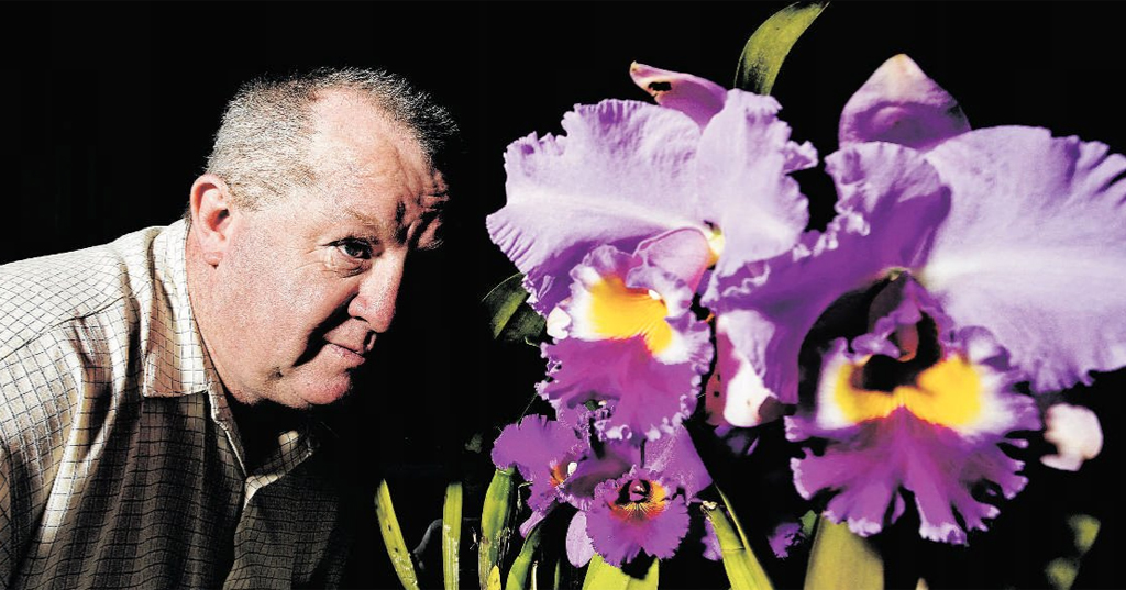 Paul Noone turned over a new leaf 40 years ago when he swapped his wild ways for gardening. Paul Noone turned over a new leaf 40 years ago when he swapped his wild ways for gardening.