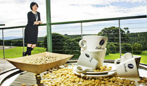 Rebecca Zentveld, of Zentveld’s coffee in Byron Bay, is hoping that dryer weather will enable tractors to get out for harvesting. Rebecca Zentveld, of Zentveld’s coffee in Byron Bay, is hoping that dryer weather will enable tractors to get out for harvesting.