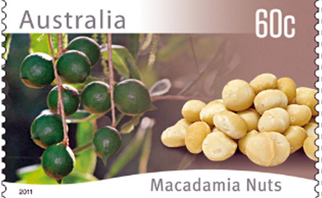 The macadamia stamp, which is part of the Farming Native Plants stamp series by Australia Post. The macadamia stamp, which is part of the Farming Native Plants stamp series by Australia Post.