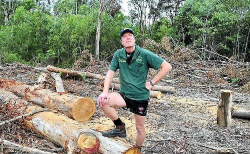 Murray Chambers from Sunshine Coast Koala Rescue disgusted with tree clearing of koala habitat Murray Chambers from Sunshine Coast Koala Rescue disgusted with tree clearing of koala habitat