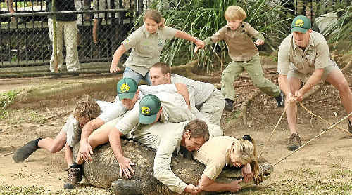 The Irwin family films a segment for an upcoming documentary series at Australia Zoo. Terri, Bindi and Robert help zoo staff move some of their crocodiles to new enclosures. Terri leads the way jumping on Agro’s head, closely followed by Wes Mannion. The Irwin family films a segment for an upcoming documentary series at Australia Zoo. Terri, Bindi and Robert help zoo staff move some of their crocodiles to new enclosures. Terri leads the way jumping on Agro’s head, closely followed by Wes Mannion.