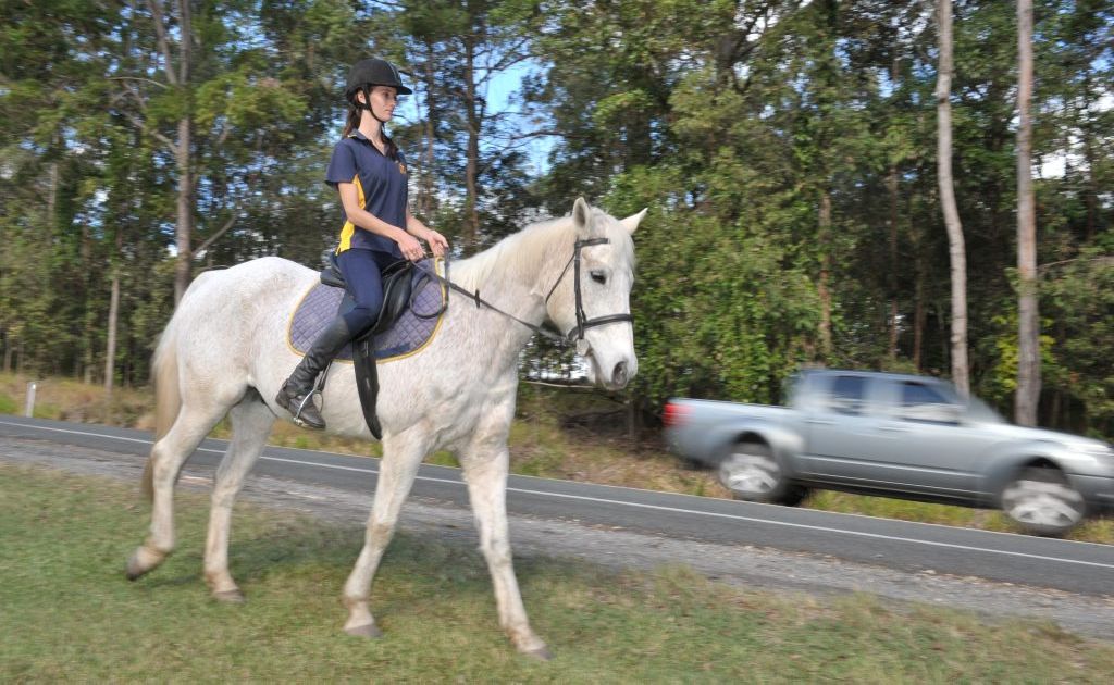 Pomona Pony Club member Johanna Lister-Smith says some motorists abuse her when she rides her horse, Andy, next to the road. Pomona Pony Club member Johanna Lister-Smith says some motorists abuse her when she rides her horse, Andy, next to the road.