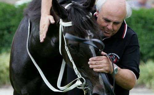 Trainer Tony Karakatsanis gives Black Piranha a hug after its win in the 2009 Sunshine Coast Cup. Its presence in this year’s Ramornie Handicap is a boost for the July Carnival. Trainer Tony Karakatsanis gives Black Piranha a hug after its win in the 2009 Sunshine Coast Cup. Its presence in this year’s Ramornie Handicap is a boost for the July Carnival.