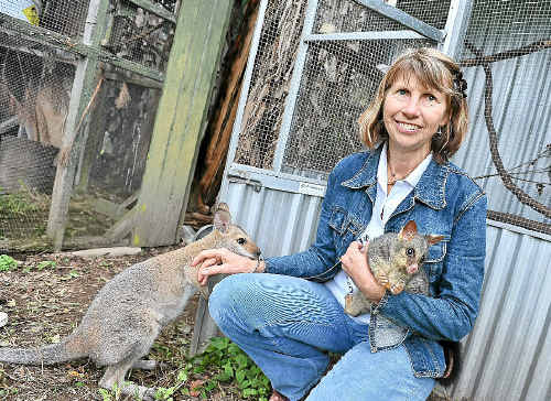 Sylvia Whiting has been recognised in the Queen’s Birthday 2011 honours list. She will be awarded a medal of the Order of Australia for her dedicated service to animal conservation.