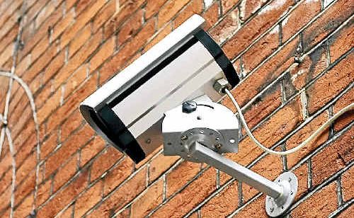 Wild Lotus will soon be fitted out with CCTV cameras, as part of a security upgrade Mr Dekker recently received a quote for. Wild Lotus will soon be fitted out with CCTV cameras, as part of a security upgrade Mr Dekker recently received a quote for.