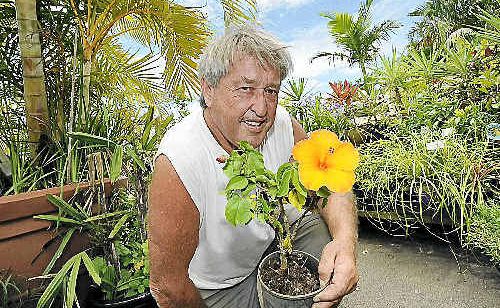 Trevor Murray from Trev’s Recycled Garden at West Ballina has been giving new life to plants from that would otherwise have ended up in landfill and says others could follow suit. Trevor Murray from Trev’s Recycled Garden at West Ballina has been giving new life to plants from that would otherwise have ended up in landfill and says others could follow suit.