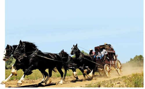 TRAVELLING COACH: Experience the preferred mode of travel in the 1800s. TRAVELLING COACH: Experience the preferred mode of travel in the 1800s.
