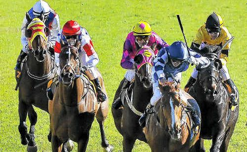Matthew Bennet drives Desert Bunny to victory in the Westlawn Finance Grafton Cup Prelude. Matthew Bennet drives Desert Bunny to victory in the Westlawn Finance Grafton Cup Prelude.