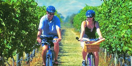 On Yer Bike Winery Tours offer a different way to explore Hawkes Bay. On Yer Bike Winery Tours offer a different way to explore Hawkes Bay.