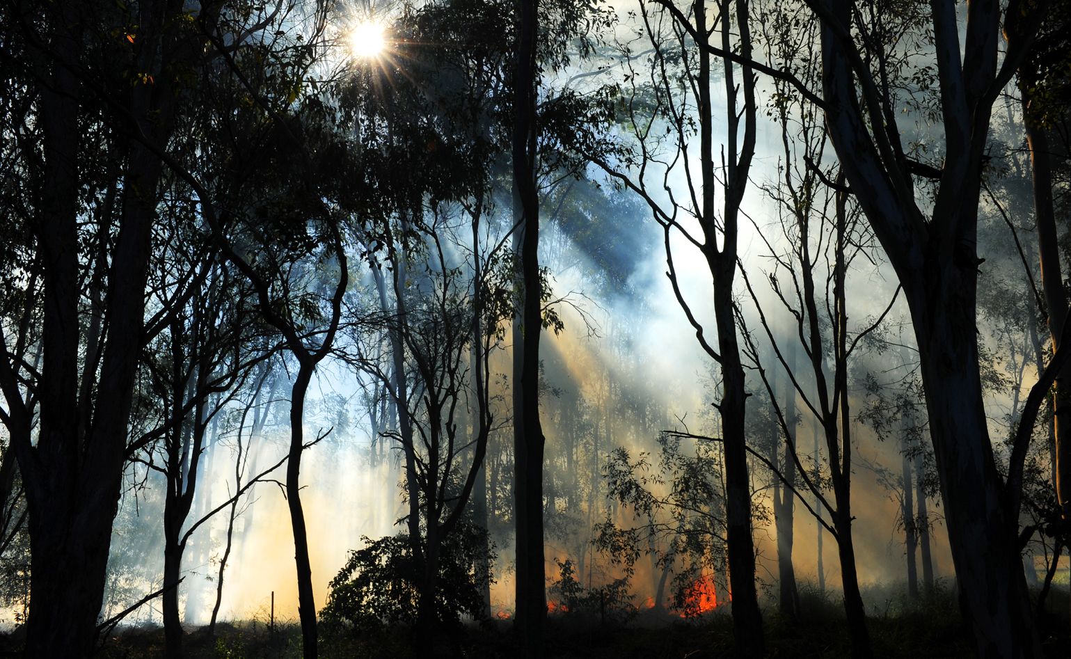 North Coast Public Health Unit assistant director Greg Bell said people with conditions such as asthma, emphysema and heart conditions should stay indoors where possible. North Coast Public Health Unit assistant director Greg Bell said people with conditions such as asthma, emphysema and heart conditions should stay indoors where possible.