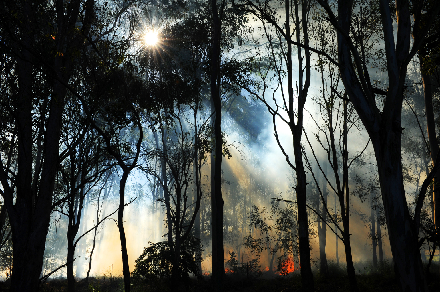 North Coast Public Health Unit assistant director Greg Bell said people with conditions such as asthma, emphysema and heart conditions should stay indoors where possible. North Coast Public Health Unit assistant director Greg Bell said people with conditions such as asthma, emphysema and heart conditions should stay indoors where possible.