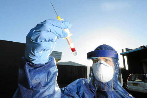 Testing for Hendra virus. Testing for Hendra virus.