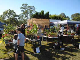 Six community happenings you'll want to know about