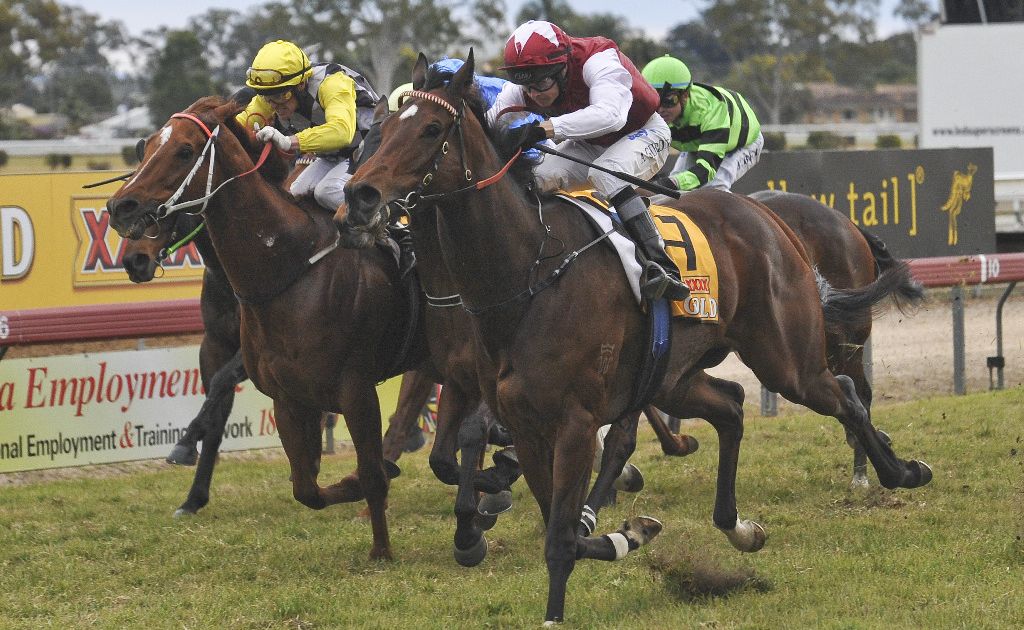 Horse number 7, Jerezana, ridden by Andrew Gibbons, comes in for the win during Race 6, the WHK Ramornie Handicap. Horse number 7, Jerezana, ridden by Andrew Gibbons, comes in for the win during Race 6, the WHK Ramornie Handicap.