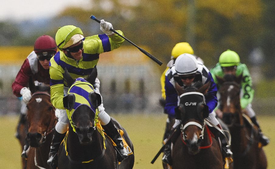 Winner of the 2011 Grafton Cup, No 8, Warrior Within, jockey Paul Hammersly (purple and green). Winner of the 2011 Grafton Cup, No 8, Warrior Within, jockey Paul Hammersly (purple and green).