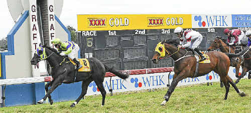 Paul Hammersley rides Warrior Within past the post to win the 2011 Wykes Tyrepower Grafton Cup. Photo: JoJo Newby/The Daily Examiner Paul Hammersley rides Warrior Within past the post to win the 2011 Wykes Tyrepower Grafton Cup. Photo: JoJo Newby/The Daily Examiner