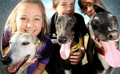 Kate Meteyard, Ben Hutchinson and Alec Seymour at the Mudgeeraba Friends of the Hound walk yesterday. Kate Meteyard, Ben Hutchinson and Alec Seymour at the Mudgeeraba Friends of the Hound walk yesterday.