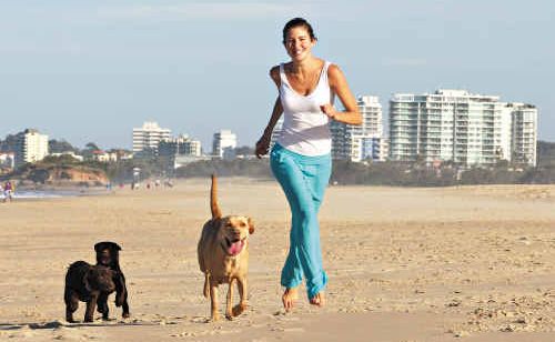 Melissa Smith with her labrador Summer and her two chocolate labrador pups, Snow and Poppie. Melissa Smith with her labrador Summer and her two chocolate labrador pups, Snow and Poppie.