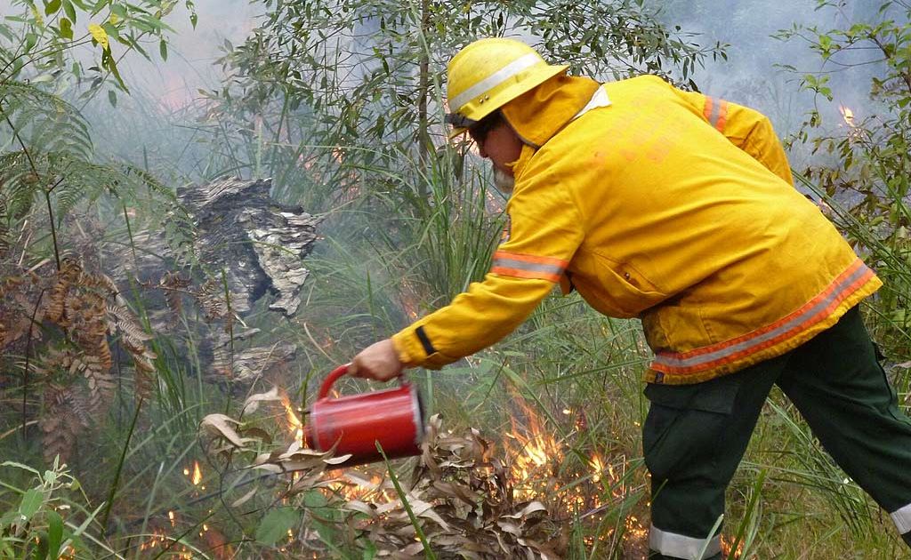 FIREWALL: The National Parks and Wildlife Service has commenced its fire hazard reduction program on the Coffs Coast. FIREWALL: The National Parks and Wildlife Service has commenced its fire hazard reduction program on the Coffs Coast.