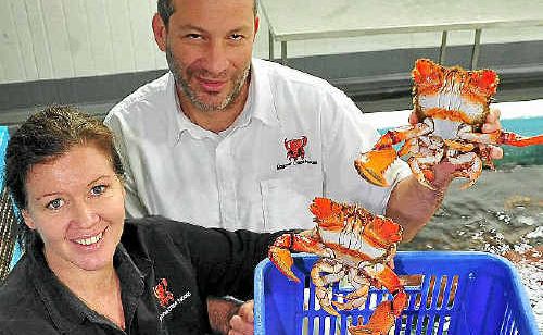 Alison Reed and Jason Sgro, of Noosa Spanner Crabs. Alison Reed and Jason Sgro, of Noosa Spanner Crabs.