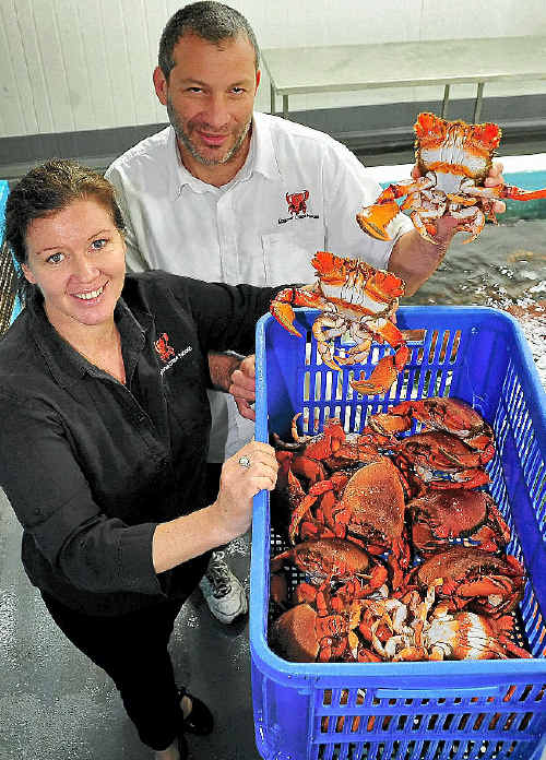 Alison Reed and Jason Sgro, of Noosa Spanner Crabs. Alison Reed and Jason Sgro, of Noosa Spanner Crabs.