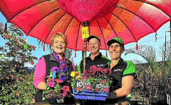 Councillor Judy Peters with Bundaberg Wholesale Palms and Plants James Smits and Kerry Borg are set for this year’s Bundy in Bloom and (inset) previous grand champion Val Johnson.