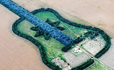 Argentine farmer Pedro Martin Ureta's guitar using 7,000 cypress and eucalyptus trees. Argentine farmer Pedro Martin Ureta's guitar using 7,000 cypress and eucalyptus trees.