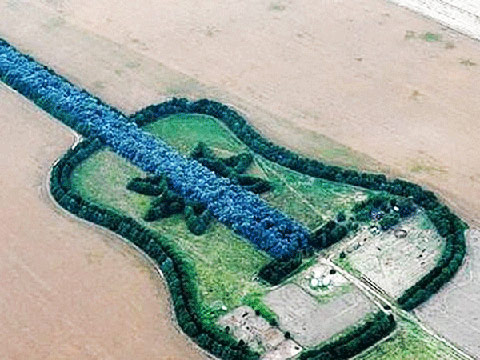 Argentine farmer Pedro Martin Ureta's guitar using 7,000 cypress and eucalyptus trees. Argentine farmer Pedro Martin Ureta's guitar using 7,000 cypress and eucalyptus trees.
