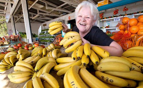 Margaret Cox selling locally grown fruit at Cunningham’s banana stall on the highway south of Coffs Harbour. Margaret Cox selling locally grown fruit at Cunningham’s banana stall on the highway south of Coffs Harbour.