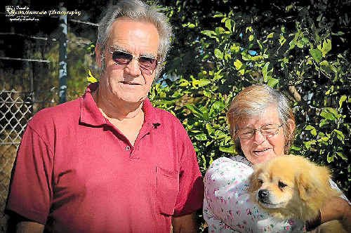 find my dog a new home