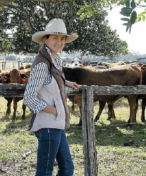 Gympie cattlewoman Andrea Schulz will oversee the stud beef section at the Mary Valley Show. Gympie cattlewoman Andrea Schulz will oversee the stud beef section at the Mary Valley Show.