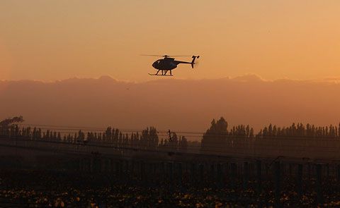 Helicopters fly low over vineyards to push warmer air from the inversion layer down onto the freezing ground, circulating the air. Helicopters fly low over vineyards to push warmer air from the inversion layer down onto the freezing ground, circulating the air.