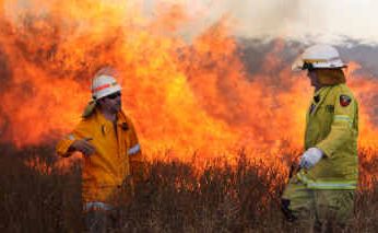 Rural and urban firefighters work together as they battled a raging grass fire at Glendale yesterday.