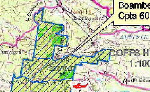 Boambee State Forest. Boambee State Forest.