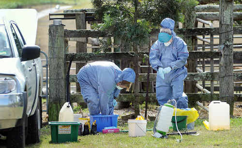 Biosecurity staff clean up after testing a horse for hendra virus. Biosecurity staff clean up after testing a horse for hendra virus.