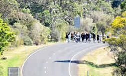 Jury members in the Dominic Hodal trial view the scene of the May 2009 crash on the New England Highway yesterday. Jury members in the Dominic Hodal trial view the scene of the May 2009 crash on the New England Highway yesterday.