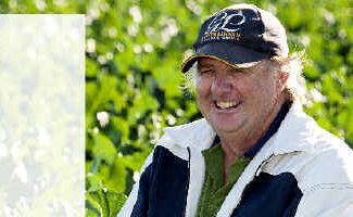 BROCCOLINI BABY BROCCOLI grower Tim Linnan. The Linnans’ Broccolini crop is grown on 60 hectares at Lake Clarendon in the Lockyer Valley. BROCCOLINI BABY BROCCOLI grower Tim Linnan. The Linnans’ Broccolini crop is grown on 60 hectares at Lake Clarendon in the Lockyer Valley.