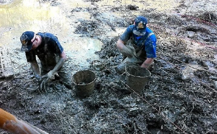 Police are confident they will find more of the 13-year-old’s remains in Glasshouse Mountains swampland. Police are confident they will find more of the 13-year-old’s remains in Glasshouse Mountains swampland.