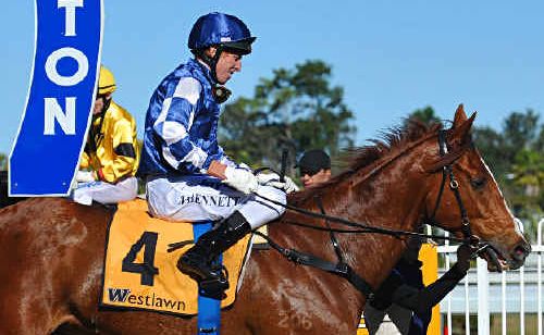 Jockey Matthew Bennett after claiming the 2011 Westlawn Grafton Cup Prelude on Desert Bunny. Bennett is confident of being in the winners stall again after race six this afternoon. Jockey Matthew Bennett after claiming the 2011 Westlawn Grafton Cup Prelude on Desert Bunny. Bennett is confident of being in the winners stall again after race six this afternoon.